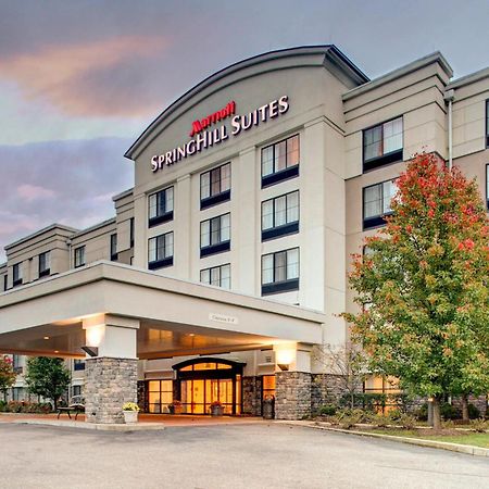 Springhill Suites By Marriott Wheeling Triadelphia Area Экстерьер фото