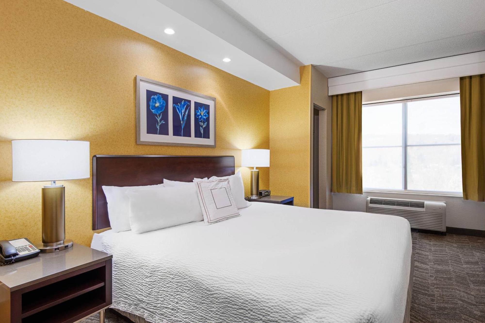Springhill Suites By Marriott Wheeling Triadelphia Area Экстерьер фото